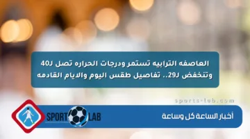 العاصفة الترابية تستمر ودرجات الحرارة تصل لـ40 وتنخفض لـ29.. تفاصيل طقس اليوم والأيام القادمة